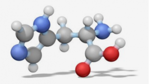 氨基酸 有机反应类型