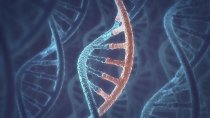DNA是主要的遗传物质
