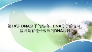 DNA分子的结构和DNA分子的复制