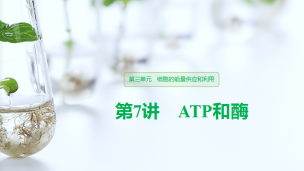ATP与酶